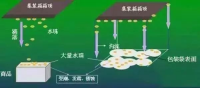集裝箱里進(jìn)水,誰的錯(cuò)?如何預(yù)防應(yīng)對(duì)?